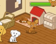 Animal shelter online