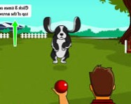 Dog training online