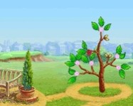 Money Tree online legjobb játék