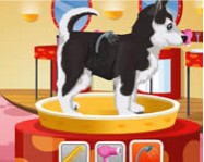 Petz Fashion ingyen játék